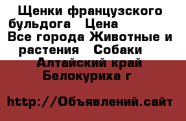Щенки французского бульдога › Цена ­ 30 000 - Все города Животные и растения » Собаки   . Алтайский край,Белокуриха г.
